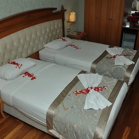 فندق My Roomi